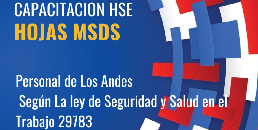 HSE HOJAS MSDS.png