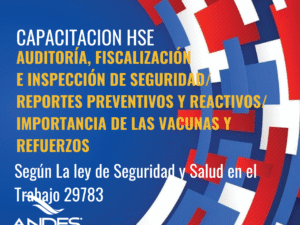 HSE - MES DE MAYO.png